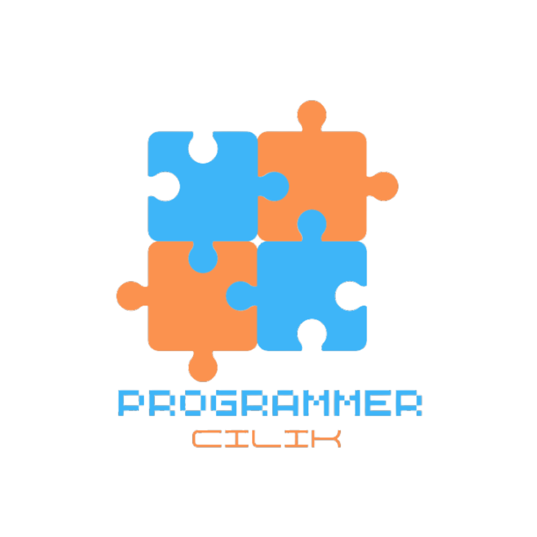 Programmer Cilik Academy